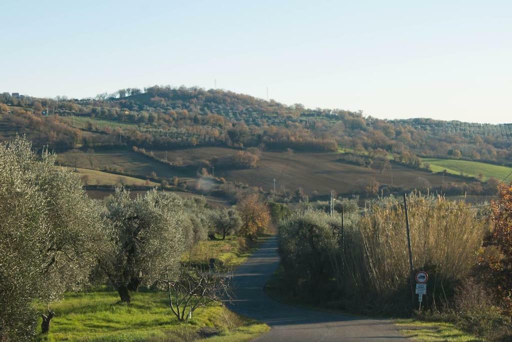 Le Casette Country House 2 Petricci Екстер'єр фото